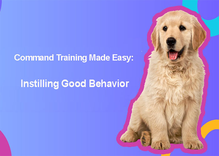 Command Training Made Easy: Instilling Good Behavior