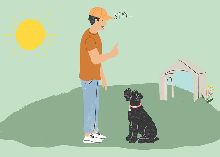 How to teach a dog to stay: Tips and Techniques