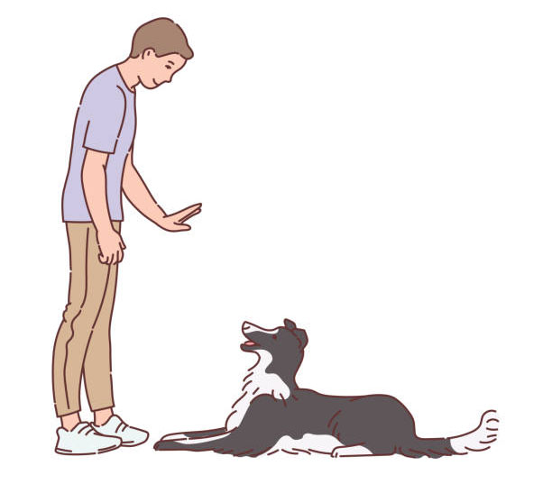 Teaching your dog down