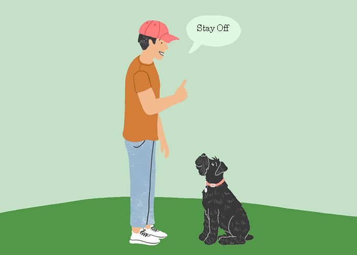 Teaching Your Dog to Stay Off: Boundaries and Commands