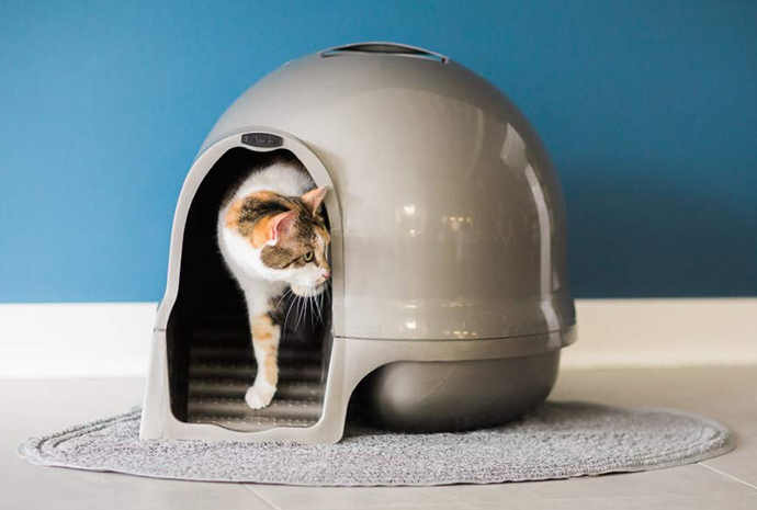 The Petmate Booda Dome Clean Step Cat Litter Box